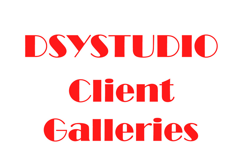 DSY_CLient_Galleries